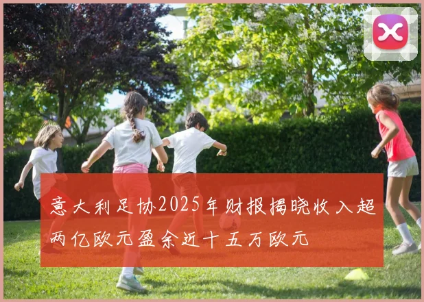 意大利足协2025年财报揭晓收入超两亿欧元盈余近十五万欧元